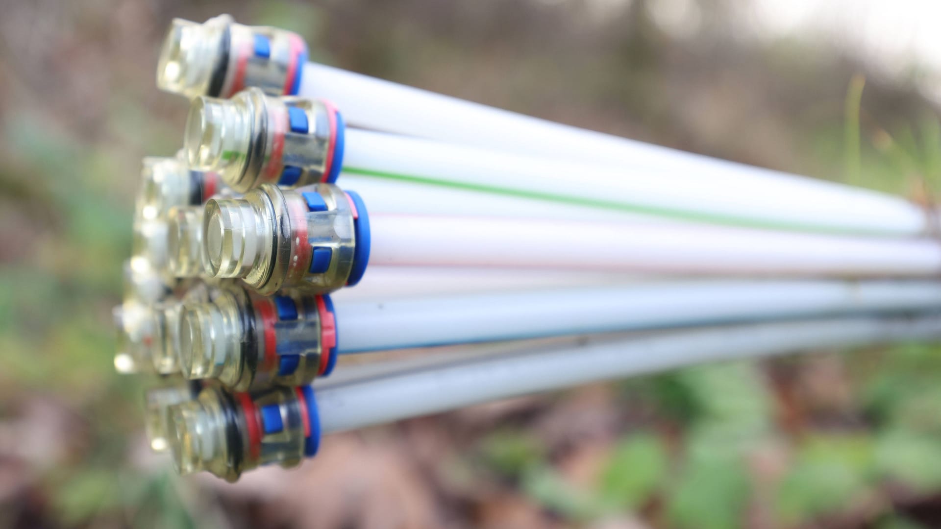 imago images 0839309626