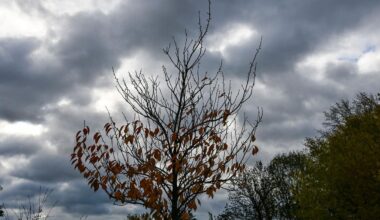 Graues Herbstwochenende in Berlin und Brandenburg