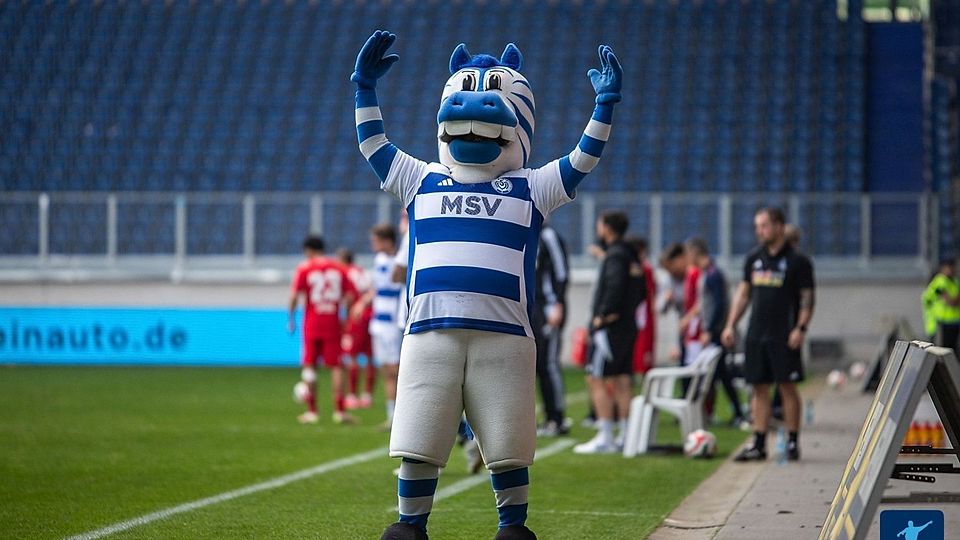 MSV Duisburg: Alle Trainer seit der Vizemeisterschaft 1963/64