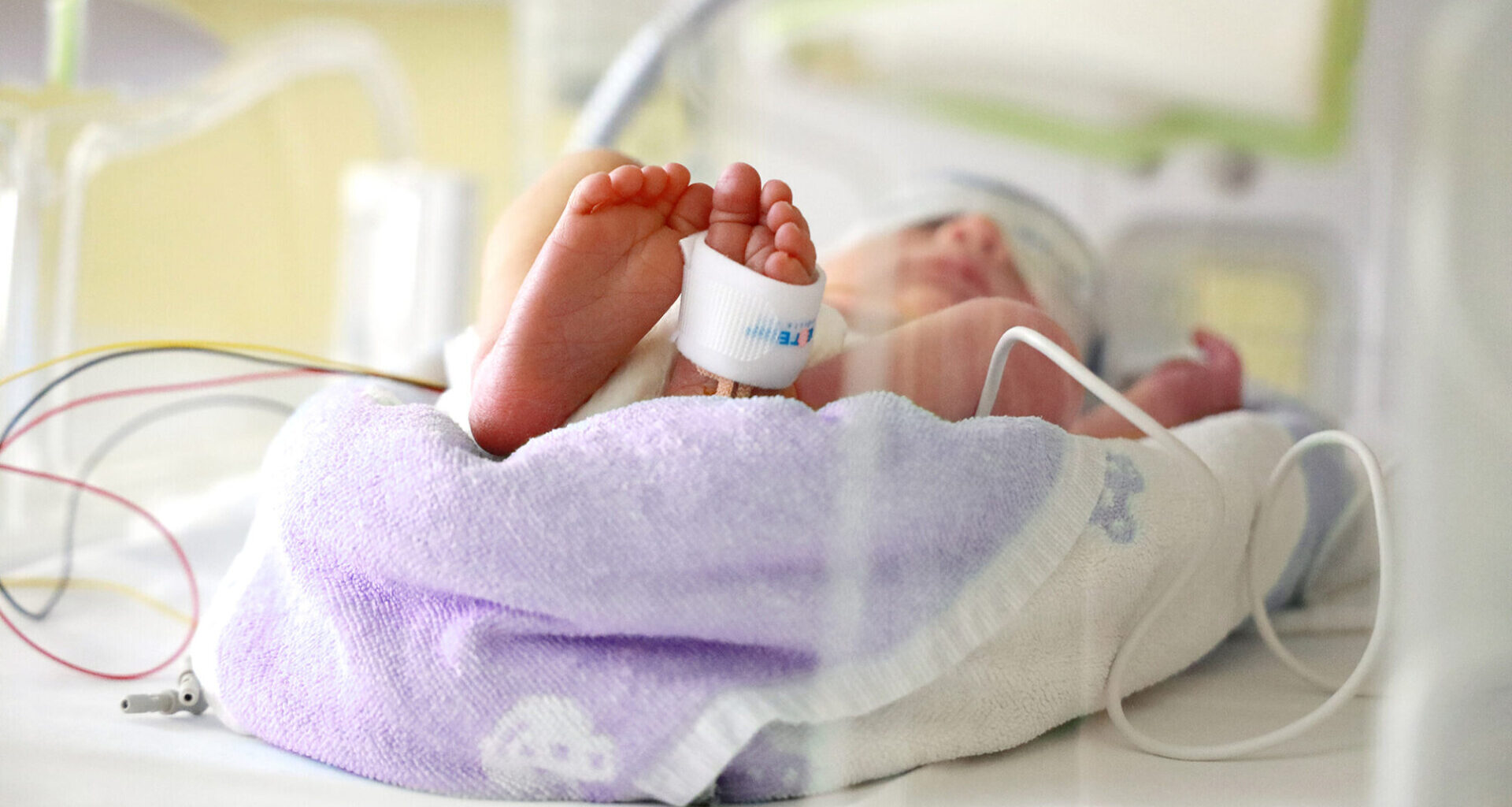 Zeichen zum Welttag - 2.557 Frühchen im UK Tulln: Für sie leuchten die Türme violett