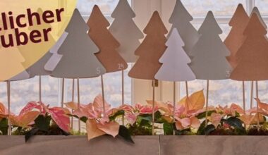 Weihnachtlicher Sternenzauber: Advents- und Christbaumdekorationen mit Weihnachtssternen