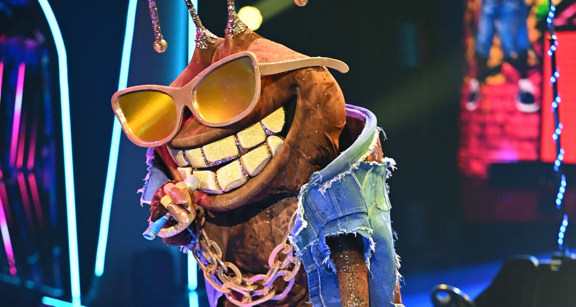 Der Dude bei "The Masked Singer"