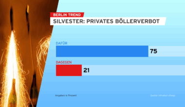Große Mehrheit für Böllerverbot in Berlin