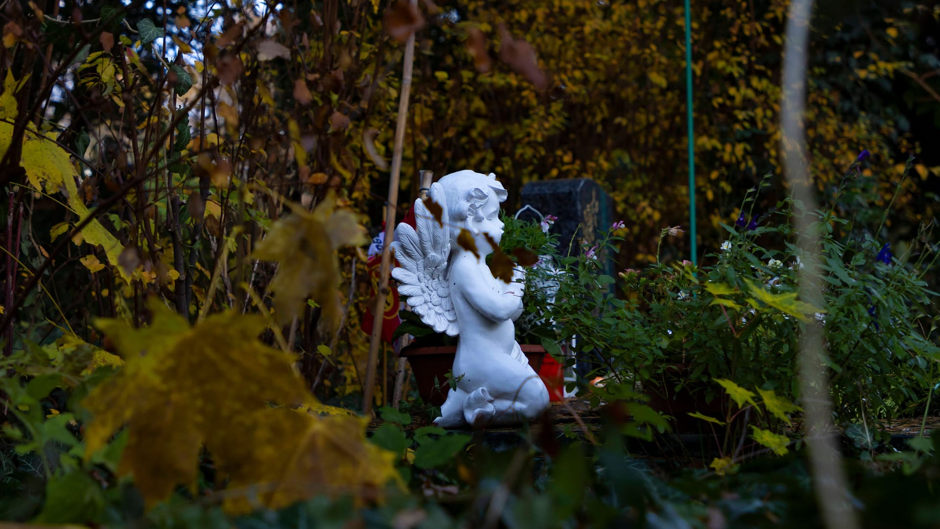 imago images 0779966832 imago images 0779966832