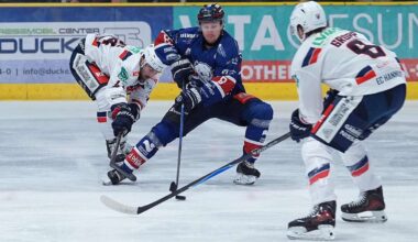 Hammer Eisbären feiern einen „sehr wichtigen Sieg“ in Halle