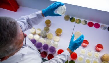 Rund 20 Ehec-Fälle auf Ausbruch in Mecklenburg-Vorpommern zurückzuführen