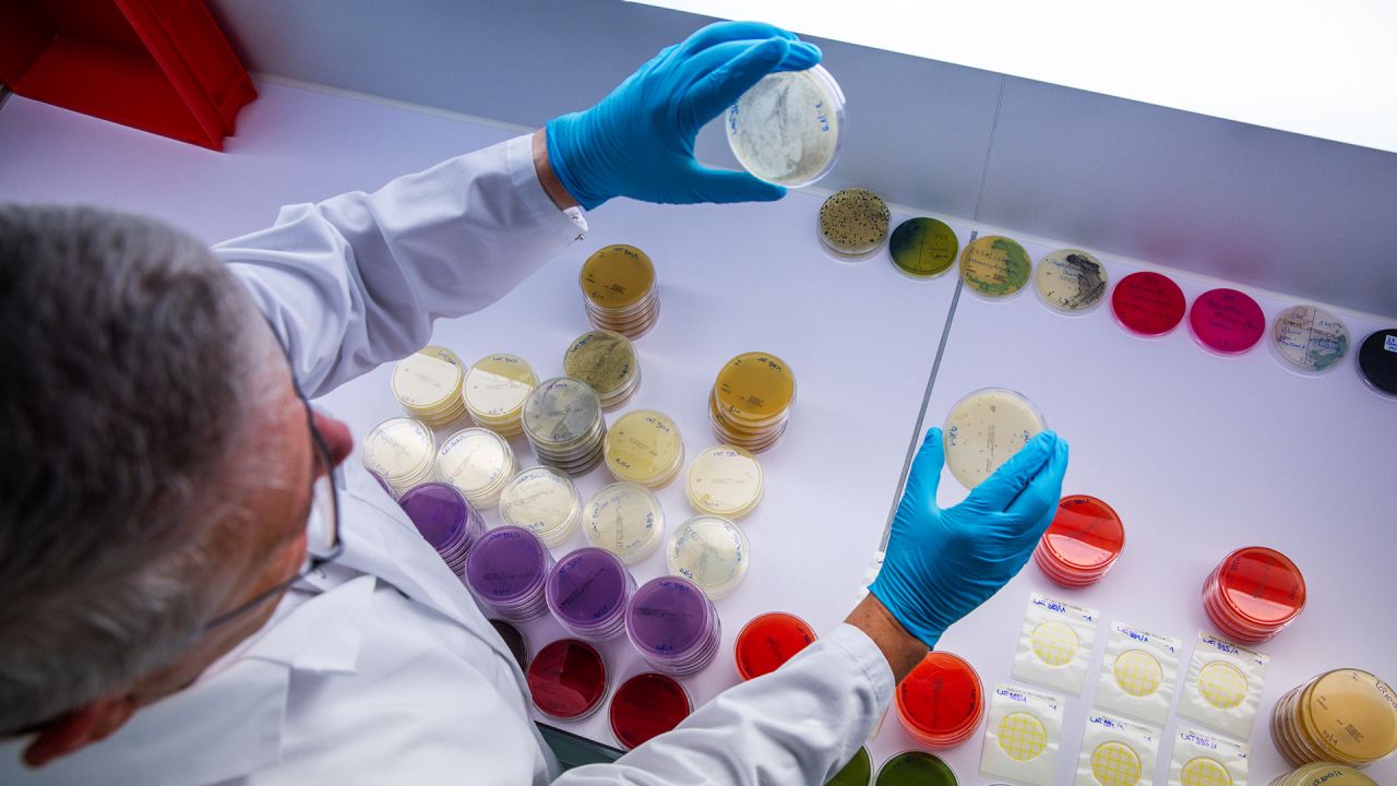 Rund 20 Ehec-Fälle auf Ausbruch in Mecklenburg-Vorpommern zurückzuführen