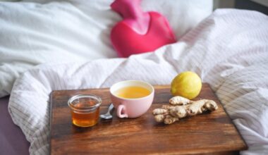 Hausmittel oder Medikamente in der Erkältungszeit?