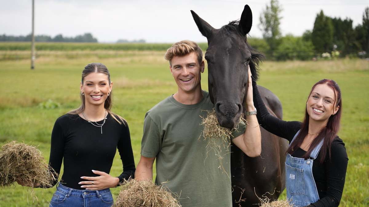 Bauer Friedrich verfolgt konkreten Plan mit „Bauer sucht Frau“ und Social Media