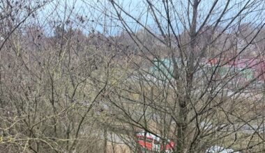 FW-GE: Rettungseinsatz auf der Halde Rungenberg