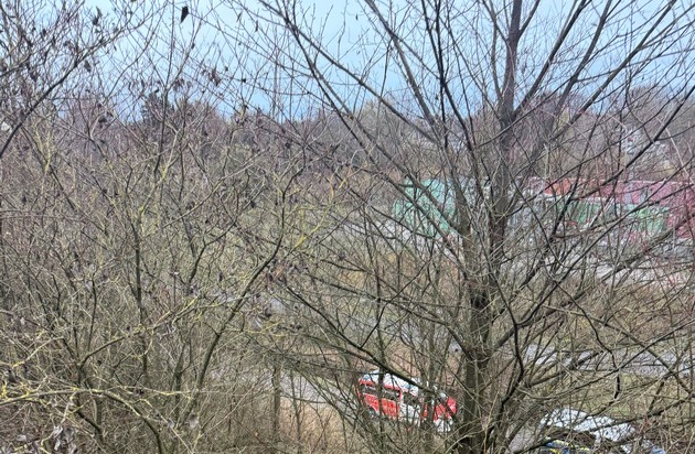 FW-GE: Rettungseinsatz auf der Halde Rungenberg