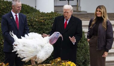 Der Thanksgiving-Effekt für zu steigende Aktienkursen an der Börse