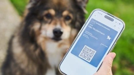 Digitale Hundemarke auf einem Smartphone (Symbolbild): 2026 wird das Verfahren in Essen umgestellt.