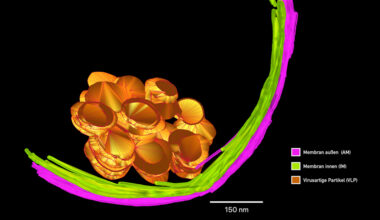 Universität Duisburg-Essen wird für die Universitätsallianz Ruhr Standort für Hochleistungs-Computing – Rundschau Duisburg
