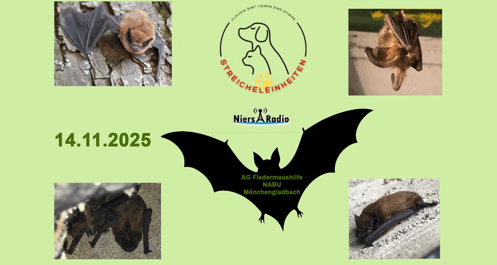 Fledermäuse | Streicheleinheiten | NRWision