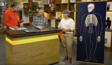 Lehrerin verkauft Schul-Objekte für viel Geld bei Bares für Rares