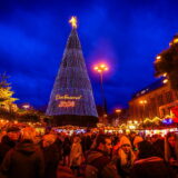 Der Weihnachtsbaum auf dem Dortmunder Weihnachtsmarkt 2024.