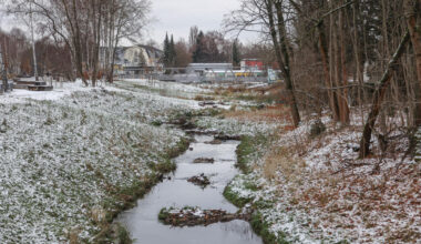 Damit der Pleißenbach wieder mäandern kann: Freistaat übergibt Millionenscheck