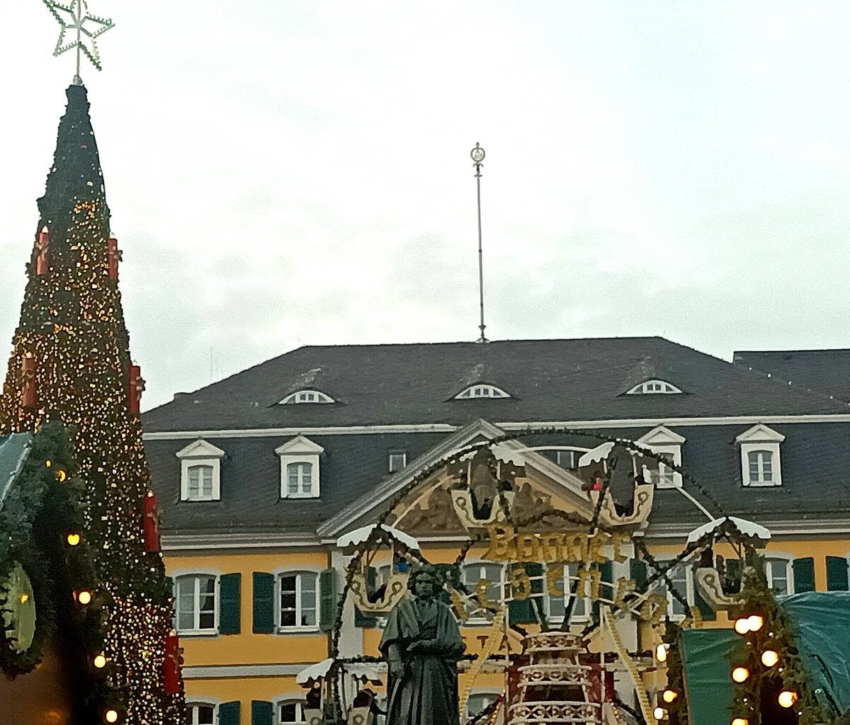 Weihnachtsbaum auf dem Münsterplatz in Bonn wird aufgestellt