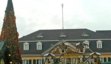 Weihnachtsbaum auf dem Münsterplatz in Bonn wird aufgestellt