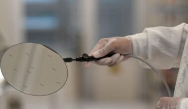 Nexperia-Chips: Berlin begrüßt Chinas Ausnahmen bei Exportverbot