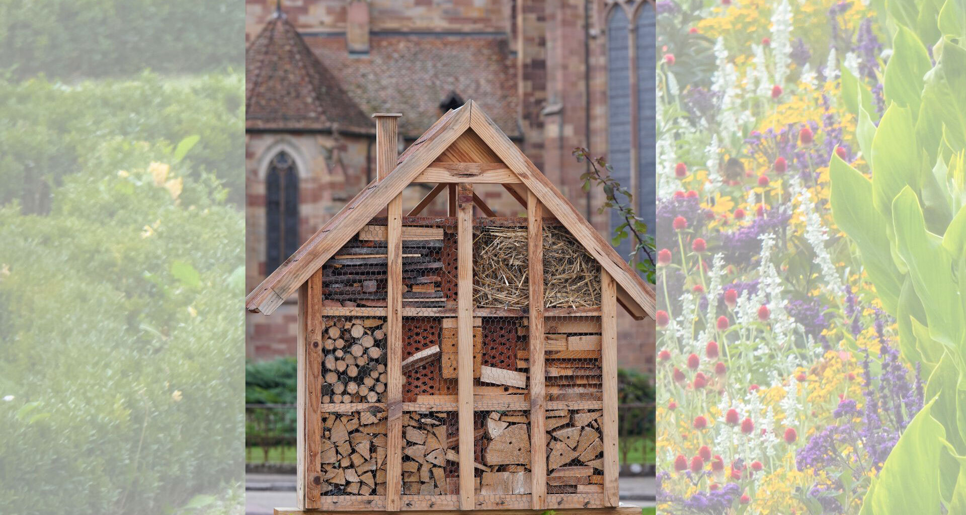 „Vielfalt im Garten“ entdecken und gestalten