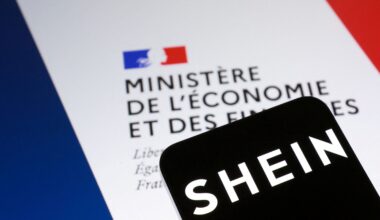 Frankreich stoppt Verfahren gegen Shein nach Entfernung von Sexpuppen und Waffen