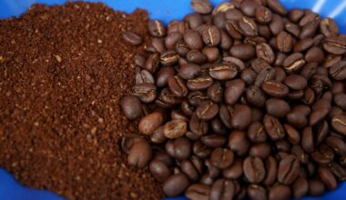 USA gewähren Peru Zollbefreiung für rund 100 Lebensmittelprodukte