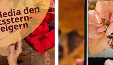Mit Social Media den Weihnachtsstern-Absatz steigern: Neun Profi-Tipps, wie es ...