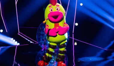 Wörner war als Hunde-Kauspielzeug verkleidet. (Archivbild) Foto: Rolf Vennenbernd/dpa