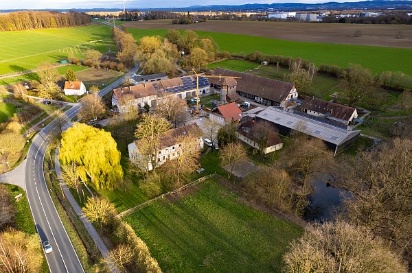 Beim Wintermarkt auf dem Halhof können Weihnachtsbäume gekauft werden. - © Mike-Dennis Müller / www.mdm.photo