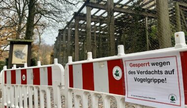 Gehege gesperrt: Vogelgrippe-Verdachtsfall im Tierpark Olderdissen in Bielefeld