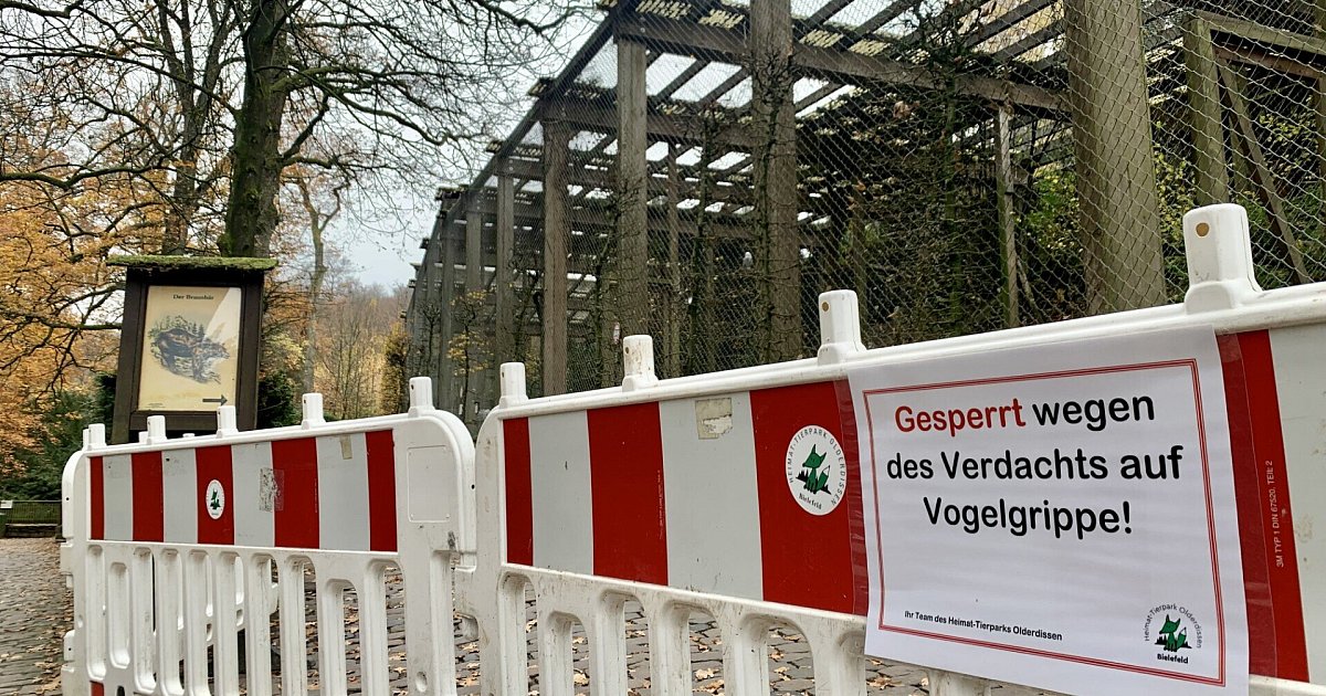 Gehege gesperrt: Vogelgrippe-Verdachtsfall im Tierpark Olderdissen in Bielefeld
