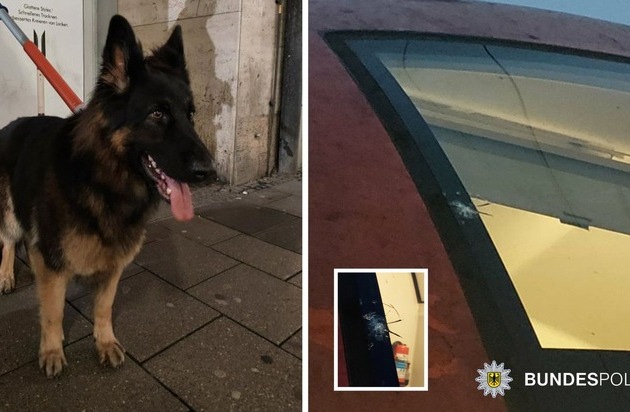 Bundespolizeidirektion München: Steinwürfe, Hund im Tunnel und Gewaltdelikte