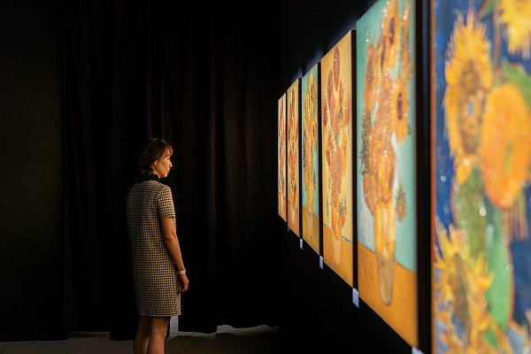 Die Sonnenblumen: Eines von Van Goghs Lieblingsmotiven. - © Prologue Pictures