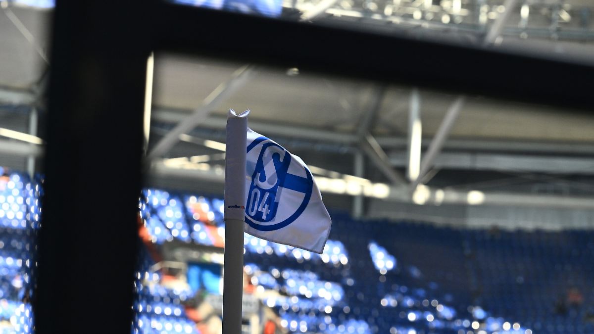 "Herausragender" Geldregen: Schalke 04 freut sich über 90 Millionen Euro