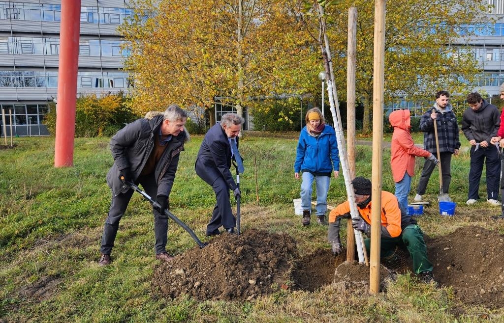 Neue Streuobstwiese auf dem Campus der Universität Augsburg angelegt