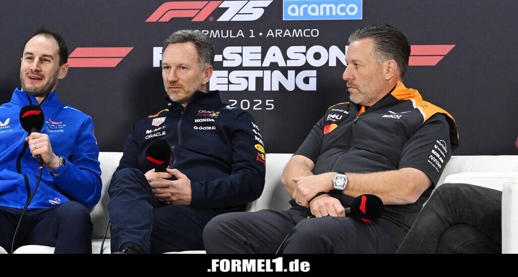 Das hat Netflix mit Christian Horner gemacht