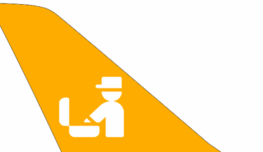 Flughafen Frankfurt: Zoll stellt Wolfsfell sicher