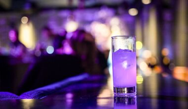 Stuttgart: Polizei ermittelt weiter nach Party mit elf Verletzten - Nachrichten aus Stuttgart