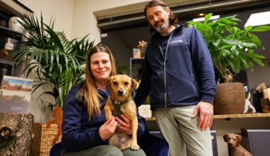 Tierbestattung in Fellbach: “Mir hat noch nie im Leben etwas so wehgetan“ - Nachrichten aus Fellbach