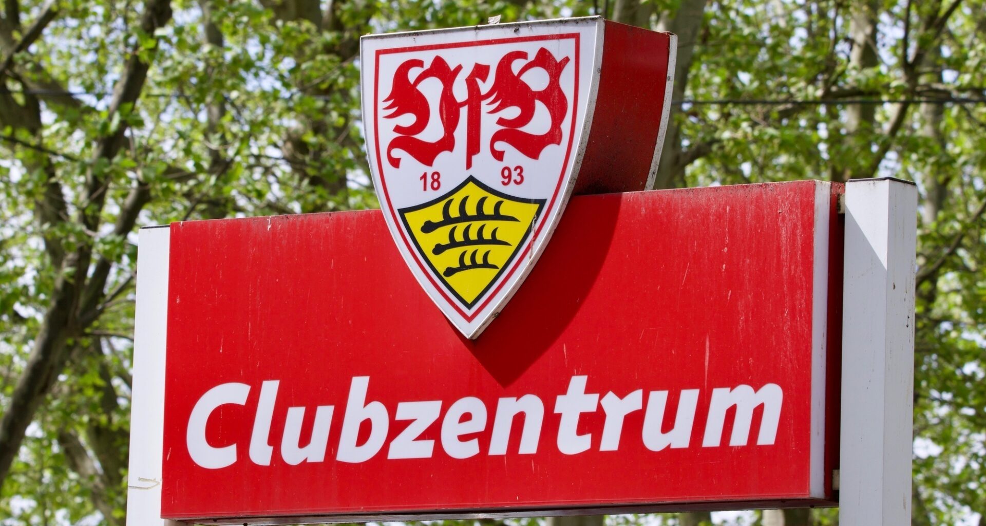 WhatsApp_Image_2022-03-09_at_21.52.48-removebg-preview