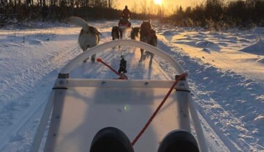 1. FC Köln: Bei über -20 Grad: Köln-Star auf Bibber-Tour in Finnland | Sport