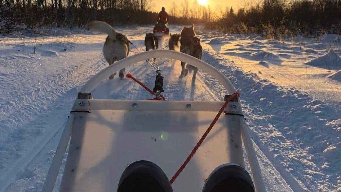 1. FC Köln: Bei über -20 Grad: Köln-Star auf Bibber-Tour in Finnland | Sport