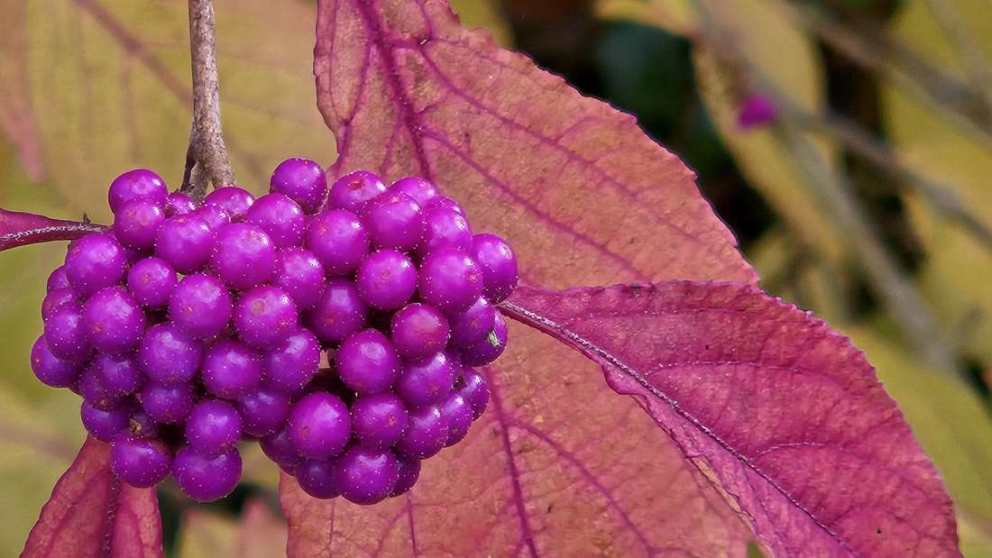 Leserbilder, Uta Iba, Oberellenbach, FotografinFotos: Uta Iba