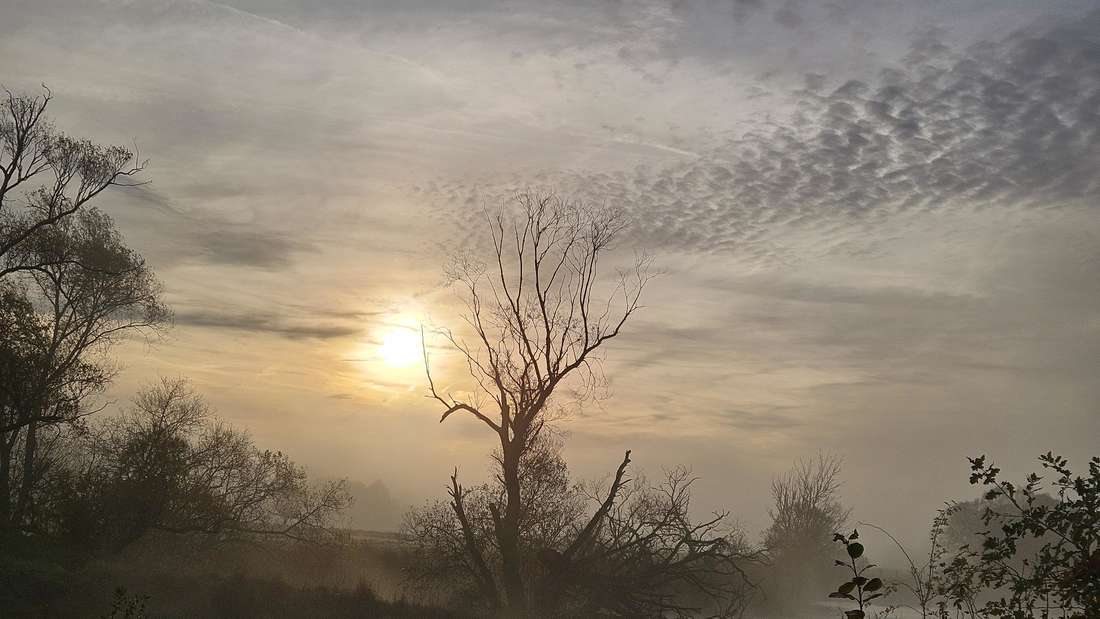 Leserbilder, Uta Iba, Oberellenbach, FotografinFotos: Uta Iba