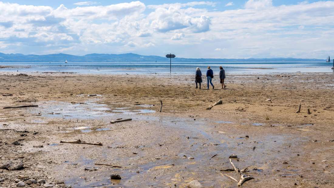 Der Klimawandel trifft die Seen Bayerns mit voller Wucht. Laut Bayerischem Staatsministerium für Umwelt- und Verbraucherschutz (StMUV) ist deren Ökosystem „aus dem Gleichgewicht geraten“. Das Foto zeigt eine durch Trockenheit freigelegte Uferzone am Bodensee aus dem April 2025.