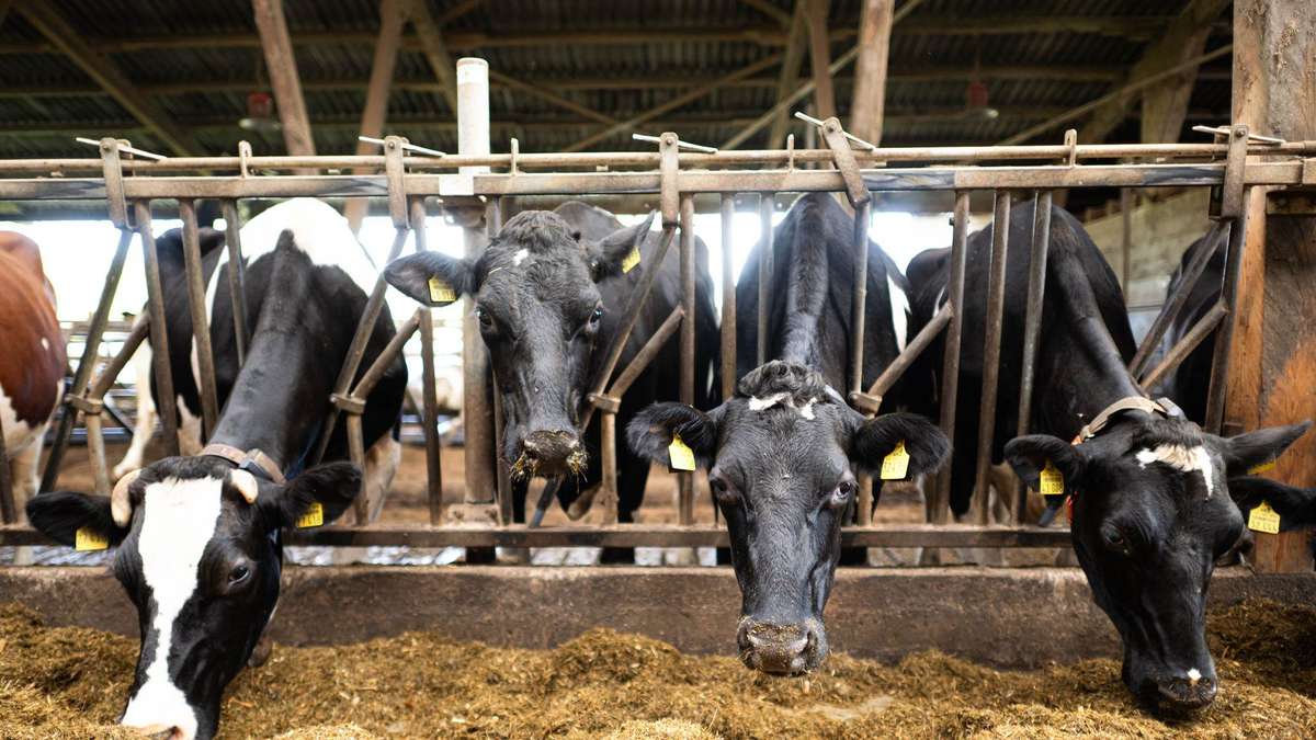 Weniger Bürokratie und Kontrollen für Landwirte