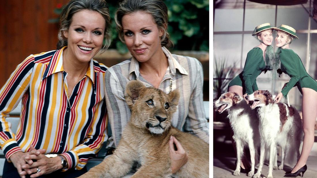 Unvergessliche Show-Momente: Die Kessler-Zwillinge arbeiteten immer wieder mit Tieren. Ihre Karriere führte sie von München über Paris bis nach New York, Sydney und Buenos Aires.