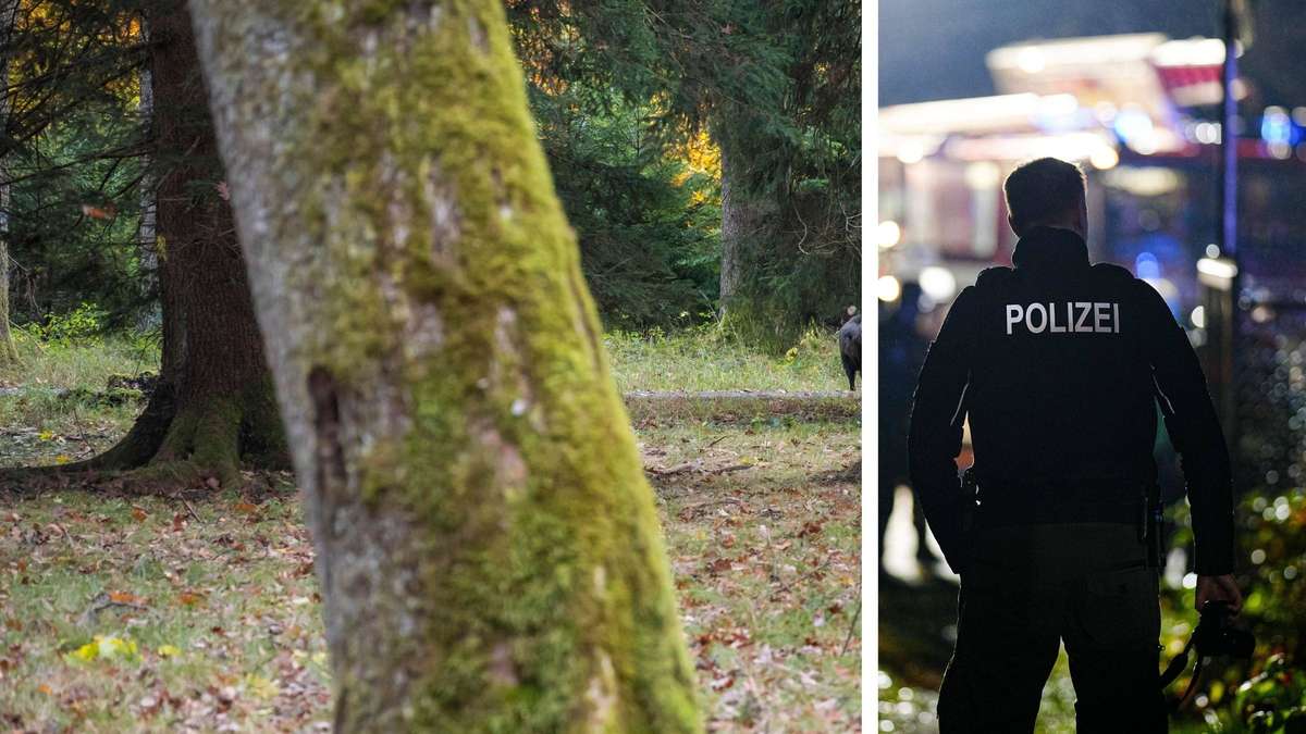 Frauenleiche in München gefunden: Spurensicherung vor Ort